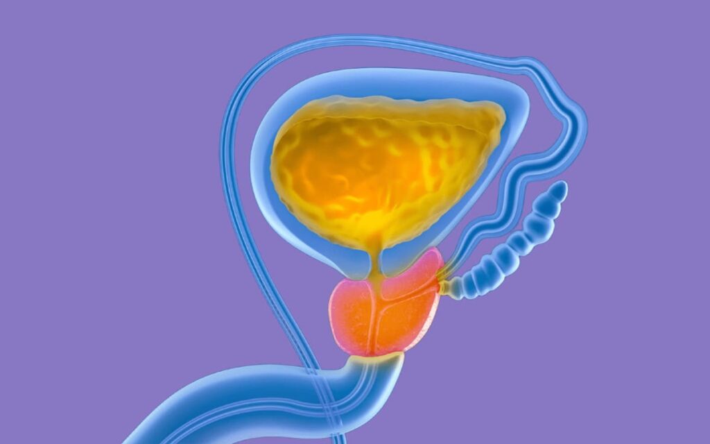 5 Best Over-the-Counter Medications for Enlarged Prostate "Expert Picks" 2 Top 5 Best Over the Counter Medications for Enlarged Prostate