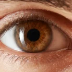 6 Best Vision Supplements & Vitamins