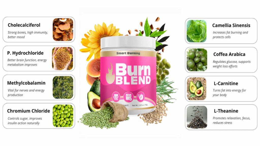 BurnBlend Review: Do Not Buy Till You’ve Read This! 3 What’s Inside BurnBlend: The Key Ingredients That Work