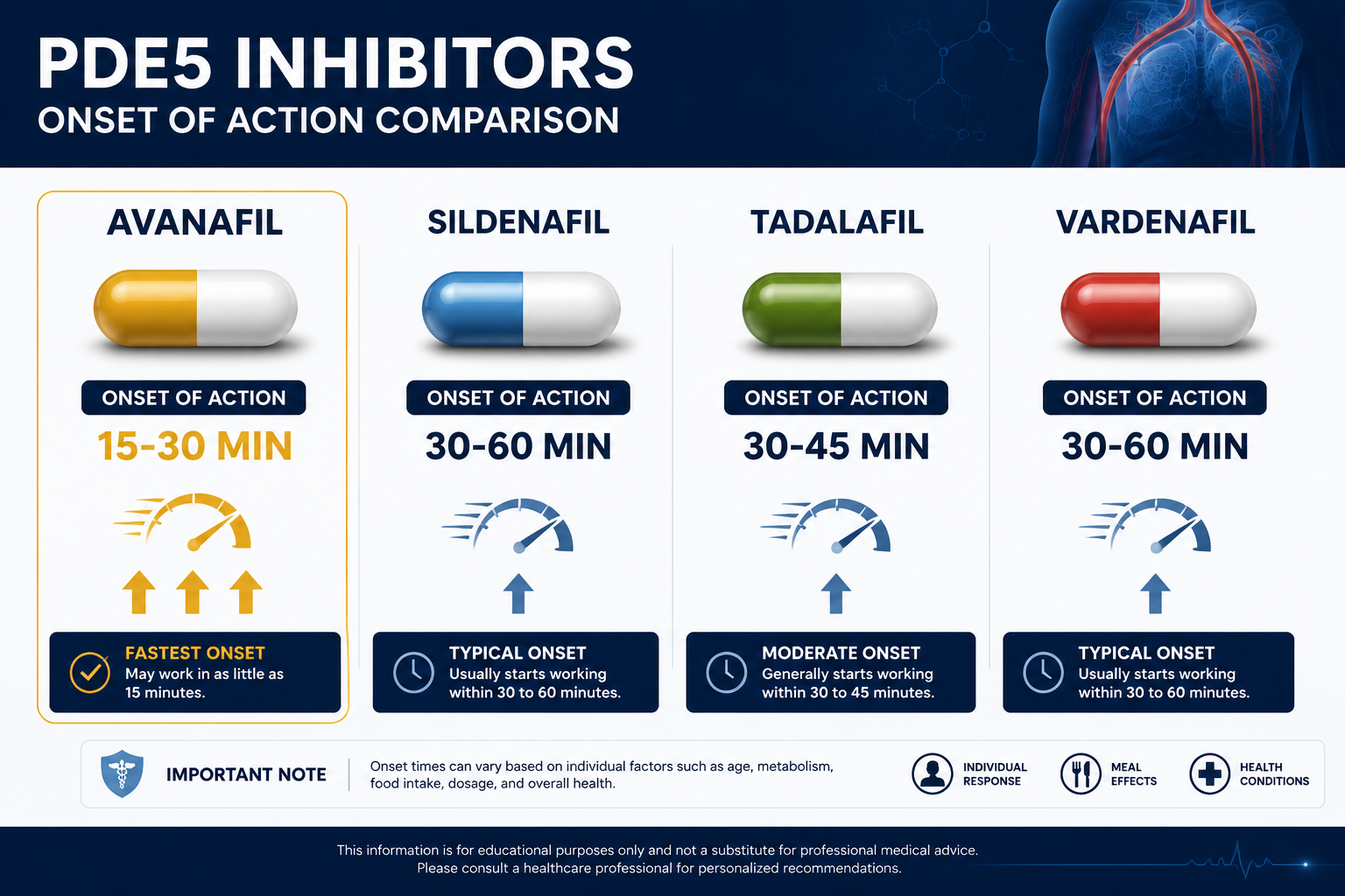 viagra alternative that works faster 1 Detailed () clinical comparison infographic illustration showing four pill capsules labeled Avanafil, Sildenafil, Tadalafil,