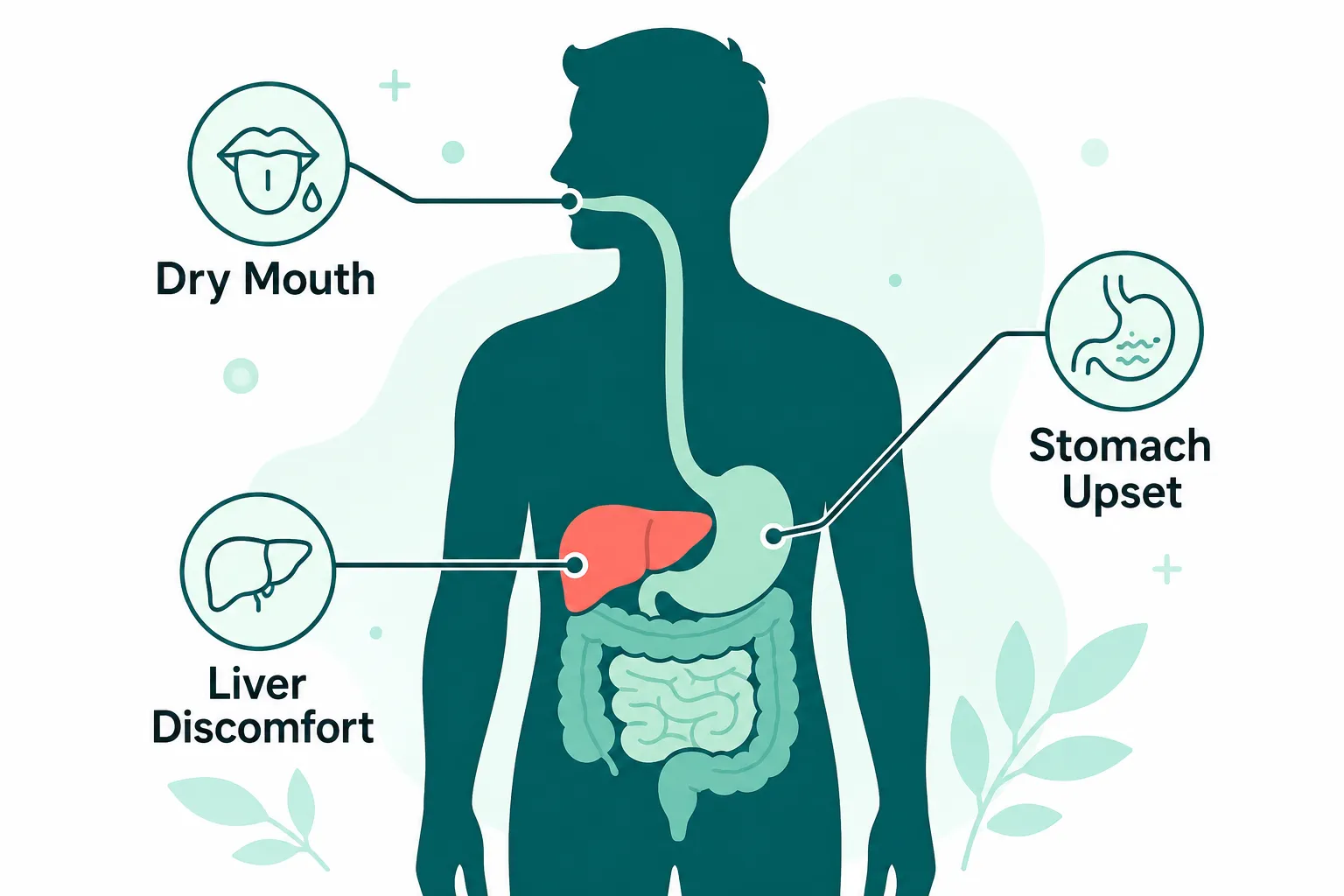 Synadentix Side Effects 2 Key Takeaways