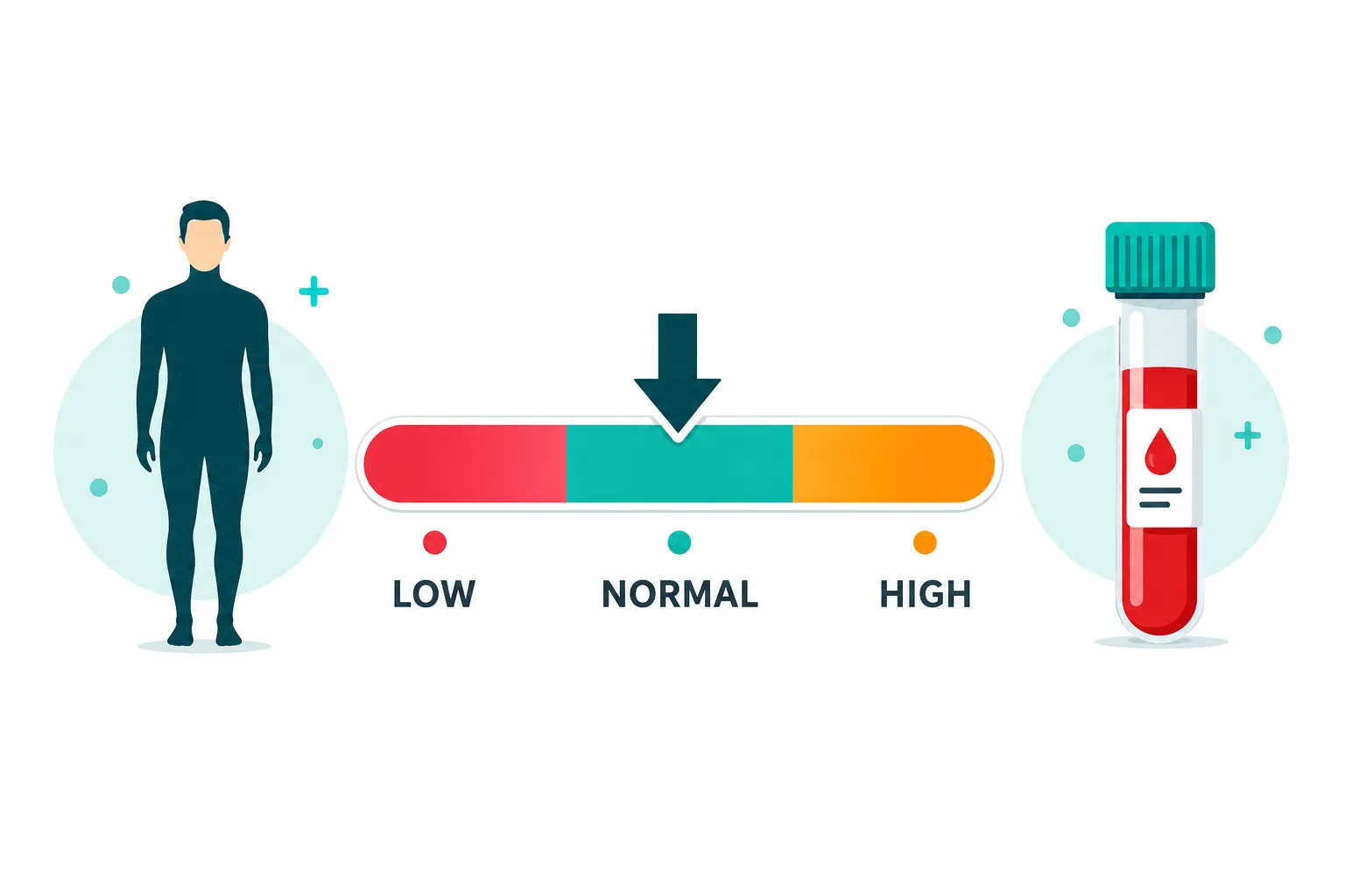 At-Home Testosterone Test 2 Key Takeaways