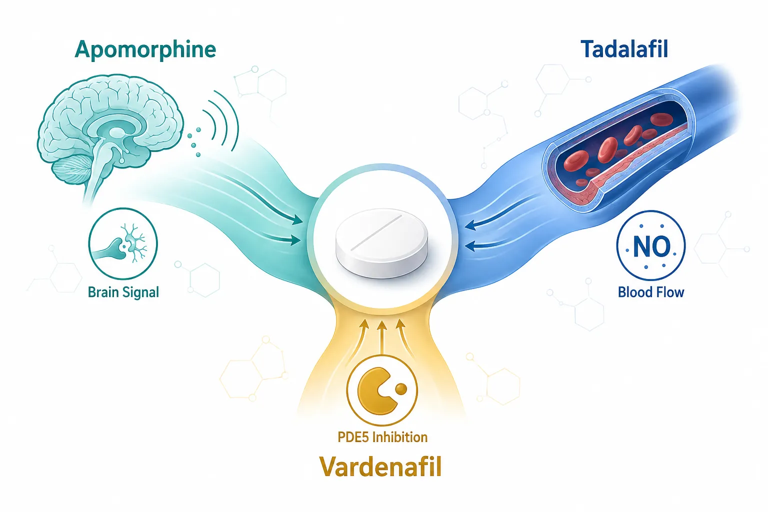 Rise Rx Tablet · triple-action ED support (Apomorphine /Tadalafil / Vardenafil) 2 Key Takeaways