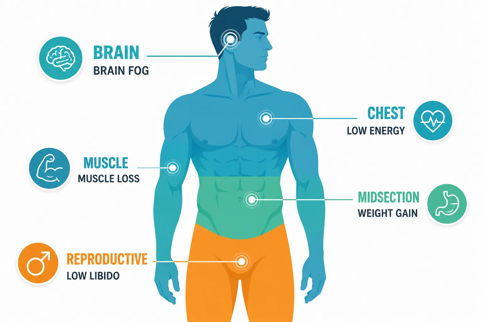 Signs of Low Testosterone 2 Key Takeaways